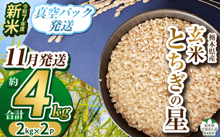 【栃木県共通返礼品】【先行予約】【11月発送】令和7年度新米 栃木県産とちぎの星 2kg×2 | 玄米 精米 お米 コメ とちぎの星 先行予約 ブランド米 栃木県 特産品  下野市 送料無料