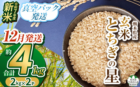 【栃木県共通返礼品】【先行予約】【12月発送】令和7年度新米 栃木県産とちぎの星 2kg×2 | 玄米 精米 お米 コメ とちぎの星 先行予約 ブランド米 栃木県 特産品  下野市 送料無料