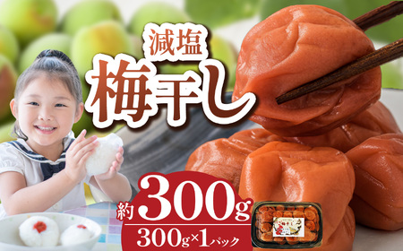 【 栃木県産 】梅干し 約300g | 2025年産 梅 梅干し 減塩 手摘み 天然 天日干し 手作り 塩漬け  栃木県 しもつけ市 下野市