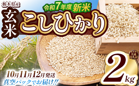 [栃木県共通返礼品][先行予約][10月発送][数量限定]令和7年度新米 栃木県産こしひかり(玄米真空パック) 2kg | 玄米 精米 お米 コメ こしひかり 先行予約 ブランド米 栃木県 特産品 下野市 送料無料