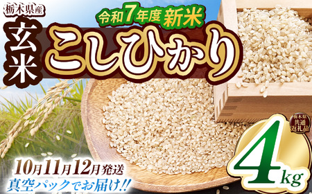 yȖ،ʕԗizys\zy11zyʌzߘa7NxV Ȗ،YЂiĐ^pbNj 4kg  |    R Ђ s\ uh Ȗ، Y