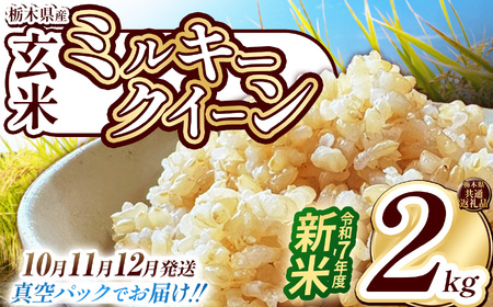 栃木県共通返礼品][先行予約][10月発送][数量限定]令和7年度新米 栃木県産ミルキークイーン(玄米真空パック) 2kg | 玄米 精米 お米 コメ ミルキークイーン 先行予約 ブランド米 栃木県 特産品 下野市 送料無料