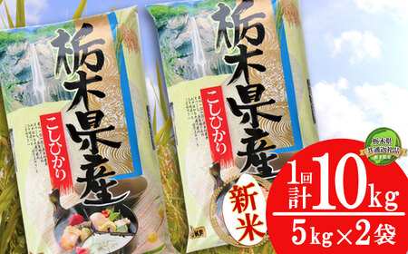 コシヒカリ10kg(5kg×2袋)[10月発送][先行予約][栃木県共通返礼品] 