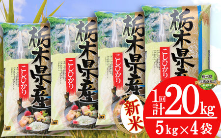 RVqJ20kgi5kg×4܁jy12zyȖ،ʕԗiz |   R kome    Ђ ˶ V Ȗؕ ߘa7Nx ߘa7Nx 2025Nx 2025Nx uh Ȗ