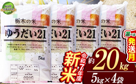 yȖ،ʕԗizy11z䂤21 20kgi5kg×4܁j | Ȗ، s