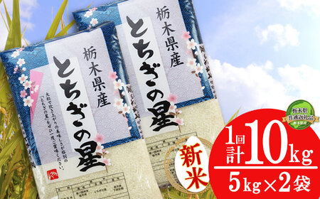 とちぎの星 10kg(5kg×2袋)[10月発送][先行予約][栃木県共通返礼品] 