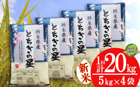 [栃木県共通返礼品][先行予約][12月発送]とちぎの星 20kg(5kg×4袋) 