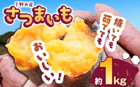[先行予約]下野市産さつまいも 1kg | さつまいも 芋 さつまいもご飯 炊き込みご飯 スイートポテト 大学芋 栗きんとん 秋 さつまいも 秋の味覚 栃木県 下野市 しもつけ市