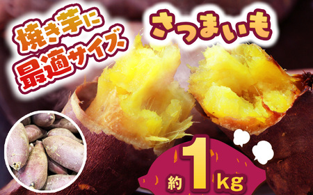 [先行予約]食べやすい焼き芋サイズ 1kg | さつまいも 芋 さつまいもご飯 炊き込みご飯 スイートポテト 大学芋 栗きんとん 秋 さつまいも 秋の味覚 栃木県 下野市 しもつけ市