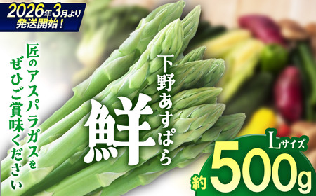 [先行予約]下野あすぱら『鮮』 Lサイズ 500g | 先行予約 アスパラ アスパラガス 野菜 選べる内容量 旬野菜 とれたて 春 人気 送料無料 栃木県 下野市