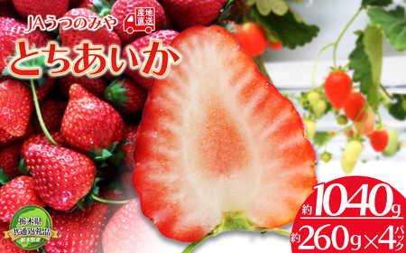 [先行予約]苺 栃木県共通返礼品 JAうつのみや直送! とちあいか 260g×4パック | 2026年1月〜発送いちご 甘い 美味しい 果物 フルーツ デザート 栃木県 下野市 送料無料