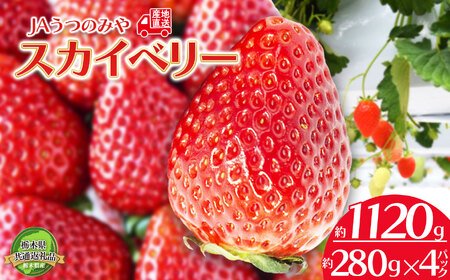[先行予約]苺 栃木県共通返礼品 JAうつのみや直送! スカイベリー 280g×4パック | 2026年1月〜発送 いちご 甘い 美味しい 果物 フルーツ デザート 栃木県 下野市 送料無料