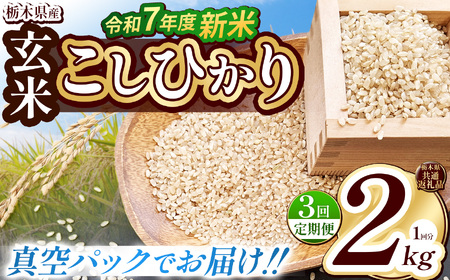 [栃木県共通返礼品][先行予約][定期便3回][数量限定]令和7年度新米 栃木県産こしひかり(玄米真空パック) 2kg | 定期便あり 玄米 精米 お米 コメ こしひかり 先行予約 ブランド米 栃木県 特産品 下野市 送料無料