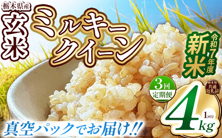 【栃木県共通返礼品】【先行予約】【定期便3回】【数量限定】令和7年度新米 栃木県産ミルキークイーン（玄米真空パック） 2kg×2  | 定期便 玄米 精米 お米 コメ ミルキークイーン 先行予約 ブランド米 栃木県 特産品  下野市 送料無料