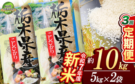 [先行予約][定期便3回]コシヒカリ10kg(5kg×2袋)[栃木県共通返礼品] 