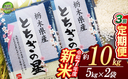 [栃木県共通返礼品][先行予約][定期便3回]とちぎの星 10kg(5kg×2袋) 