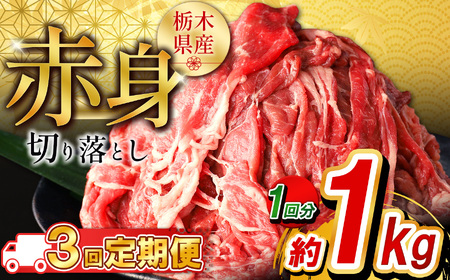 y3zȖ،Y Ԑg؂藎Ƃ1kg  |  ē r[t J[ V`[  Ⴊ Ԑg Y ƒp ؂藎Ƃ ӂ邳 [ C`IV   Ȗ، s