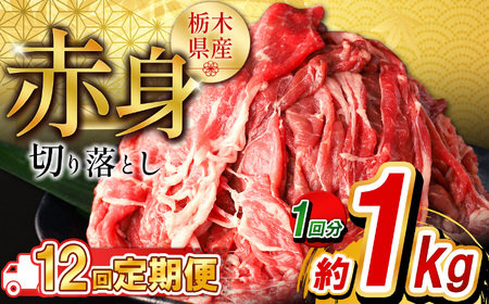 y12zȖ،Y Ԑg؂藎Ƃ1kg  |  ē r[t J[ V`[  Ⴊ Ԑg Y ƒp ؂藎Ƃ ӂ邳 [ C`IV   Ȗ، s
