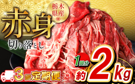 y3zȖ،Y Ԑg؂藎Ƃ2kg  |  ē r[t J[ V`[  Ⴊ Ԑg Y ƒp ؂藎Ƃ ӂ邳 [ C`IV   Ȗ، s