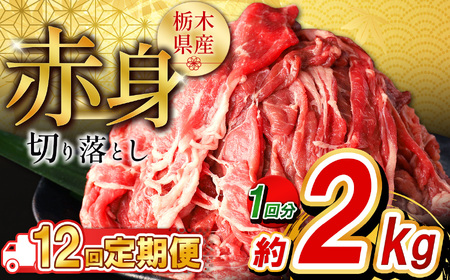 y12zȖ،Y Ԑg؂藎Ƃ2kg  |  ē r[t J[ V`[  Ⴊ Ԑg Y ƒp ؂藎Ƃ ӂ邳 [ C`IV   Ȗ، s
