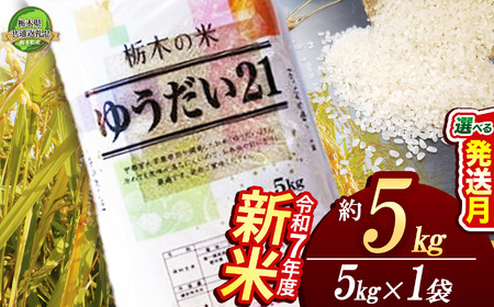 [10月発送]ゆうだい21 5kg [栃木県共通返礼品] 