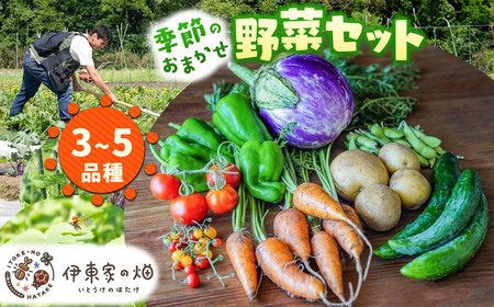 野菜セット(3〜5品種) 