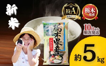 sYRVqJ 5kg |   R kome    Ђ ˶ V Ȗؕ ߘa7Nx ߘa7Nx 2025Nx 2025Nx uh Ȗ، Yi  Ȗ، s 