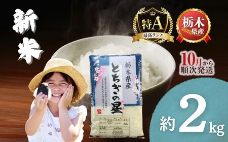 下野市産とちぎの星 2kg | 米 こめ コメ kome 白米 精米 お米 とちぎのほし トチギノホシ 新米 栃木米 令和7年度米 令和7年度 2025年度米 2025年度 ブランド米 栃木県 特産品 送料無料 栃木県 下野市 しもつけ市
