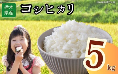 Ȗ،Y RVqJ 5kg | Ȗ، s