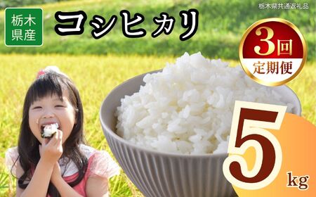 [3回定期便]栃木県産 コシヒカリ 5kg | 栃木県 下野市