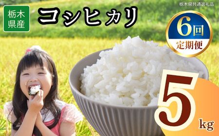 y6ցzȖ،Y RVqJ 5kg | Ȗ، s