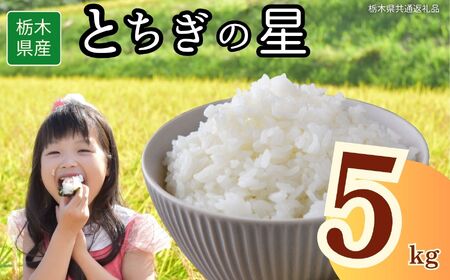 栃木県産 とちぎの星 5kg | 栃木県 下野市
