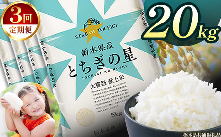 【3回定期便】栃木県産 とちぎの星 20kg | 栃木県 下野市