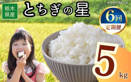 y6ցzȖ،Y Ƃ̐ 5kg | Ȗ، s