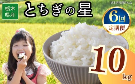 y6ցzȖ،Y Ƃ̐ 10kg | Ȗ، s