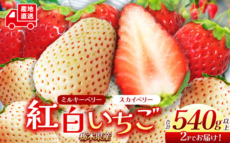  XJCx[ ~L[x[ g | Ȗ،s