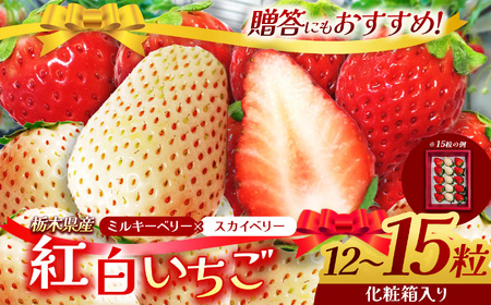 苺 スカイベリー ミルキーベリー 紅白いちご[化粧箱入り] | 栃木県下野市