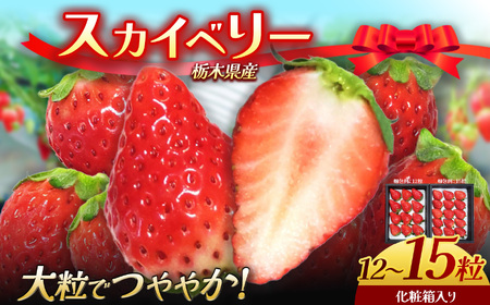 � �X�J�C�x���[ �������y���ϔ�����z | �Ȗ،�����s