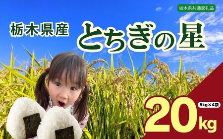 下野市産 とちぎの星 米 20kg | 栃木県 下野市