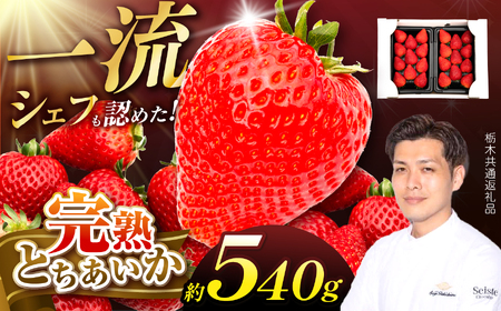 [栃木県共通返礼品]いちご 完熟とちあいか 完熟とちあいかグランデ 270g×2パック 栃木県 下野市
