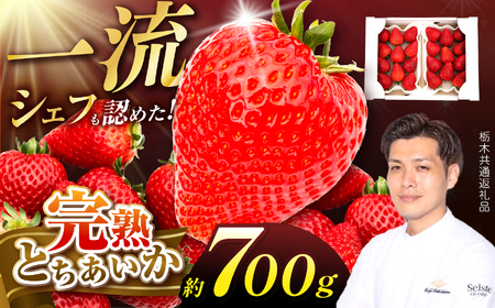 [栃木県共通返礼品]いちご 完熟とちあいか とちあいかDX 350g×2p 下野市