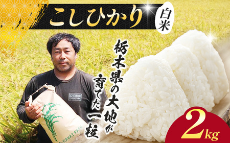 [先行予約]栃木県 下野市 コシヒカリ2kg 米