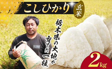 [先行予約]栃木県 下野市 コシヒカリ 玄米 2kg 米 米