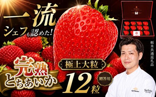 栃木県産 完熟とちあいか ギフトボックス [大粒極上] 贈答用 ボックス(12粒) 栃木県 下野市 送料無料