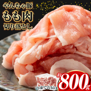 下野市 黒沢牧場 やんちゃ豚 もも肉 切り落とし 約 800g | 肉 豚肉 豚 モモ肉 もも肉 やんちゃ豚 切り落とし 栃木県 特産品 下野市 しもつけ市