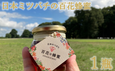 日本ミツバチの百花蜂蜜(1瓶)