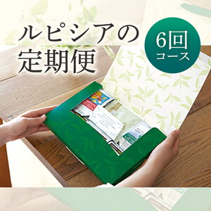 lĈ̒ցi[teB[j3×6R[X