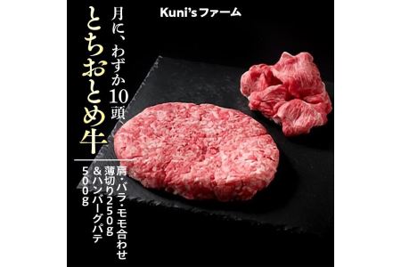 とちおとめ牛 肩・バラ・モモ合わせ薄切り250g&ハンバーグパテ500gセット 牛肉 ハンバーグ◇