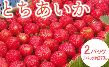 s\ S{̌b݂Ղ󂯂 Ȗ،Oî݂jY Ƃy2pbNz  C`S  Ƃ 2026N1{`3{ɏ\ ւ