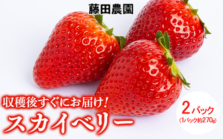 s\ S{̌b݂Ղ󂯂 Ȗ،Oî݂jY XJCx[y2pbNz  C`S  XJCx[ 2026N1{`3{ɏ\ 